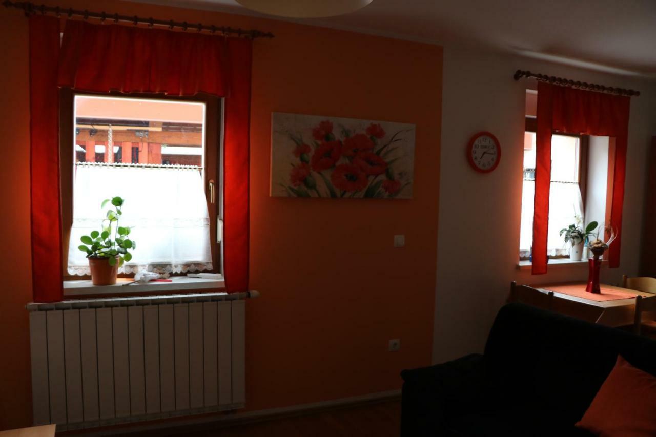 Апартаменты Apartma Na Vasi Zaga Экстерьер фото