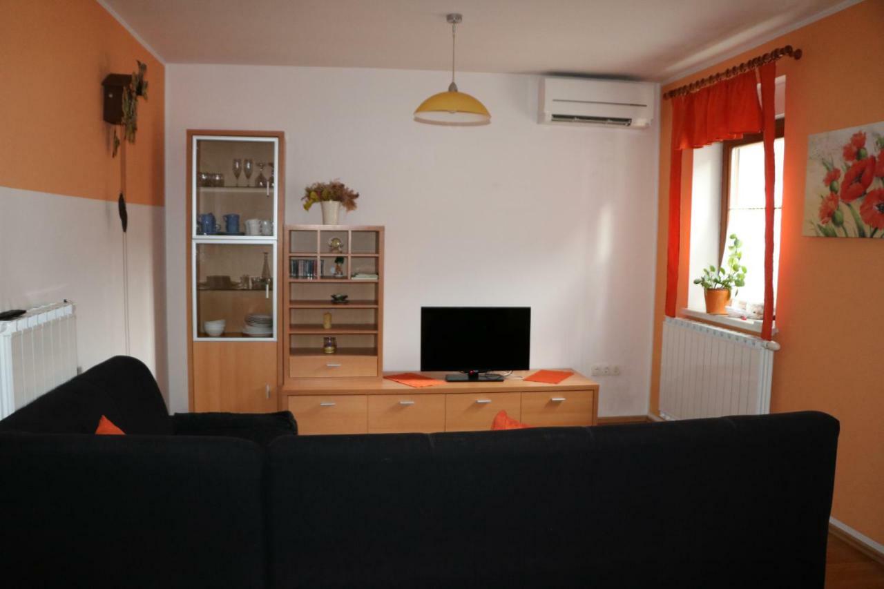 Апартаменты Apartma Na Vasi Zaga Экстерьер фото